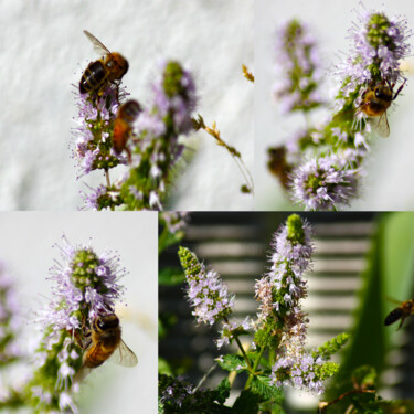 Composition aux abeilles